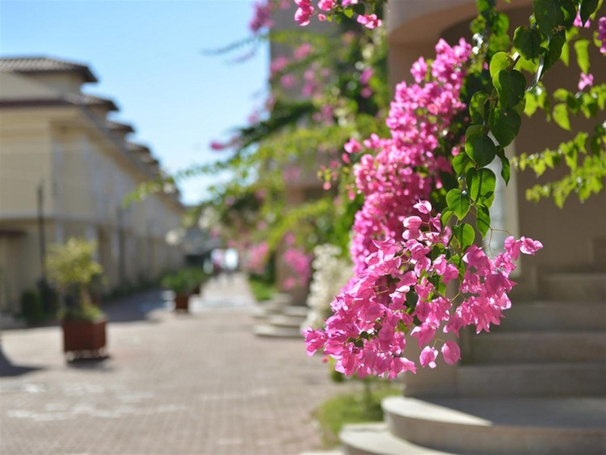 Sunset Beach Club Lebrentals Фетхие Экстерьер фото